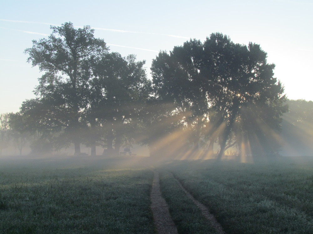 kalter Morgen mit warmer Sonne