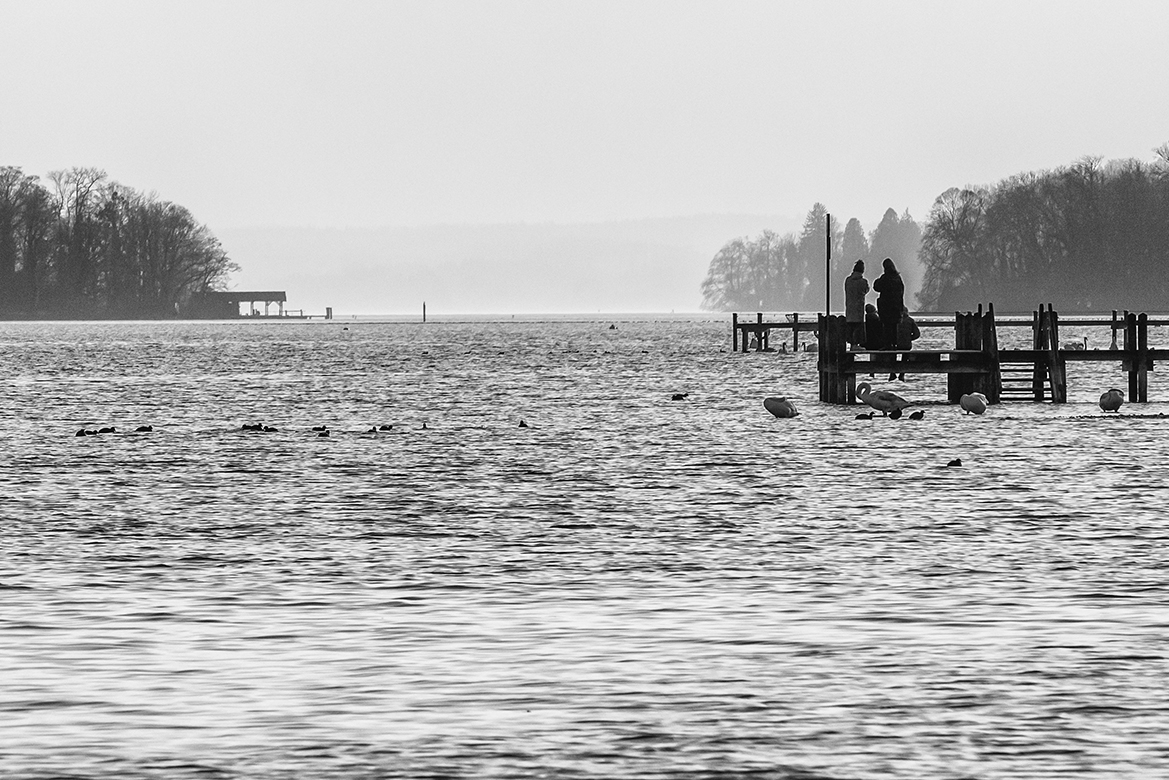 Kalter Nachmittag am See