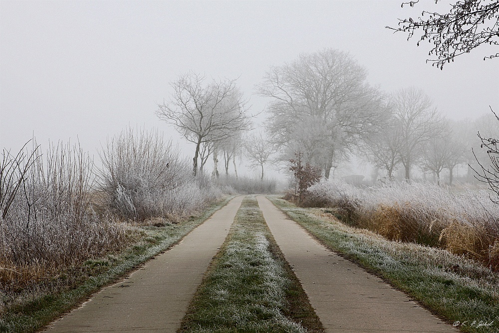 Kalter Nebel