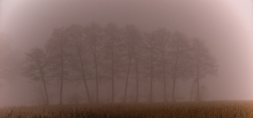 Kalter Nebel by MPaniz 