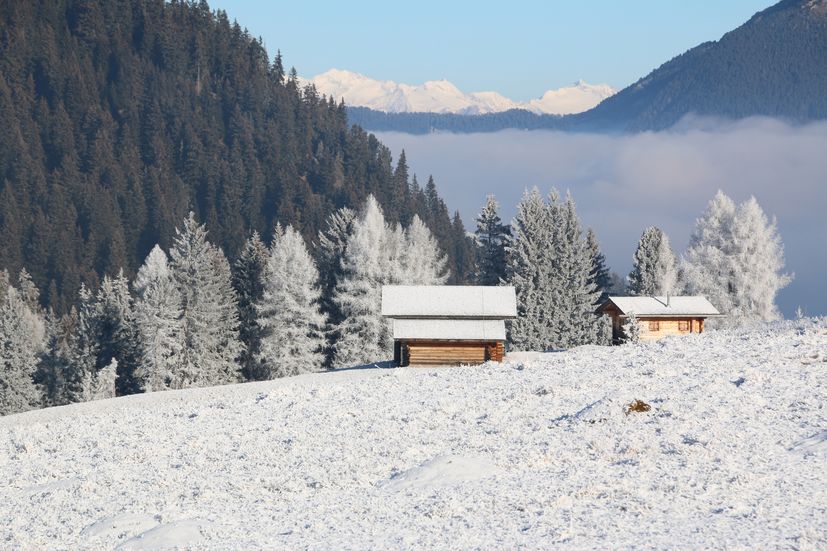 kalter Nebel