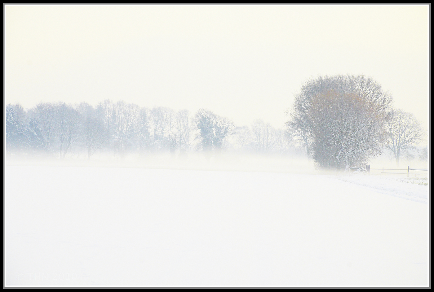 Kalter Nebel