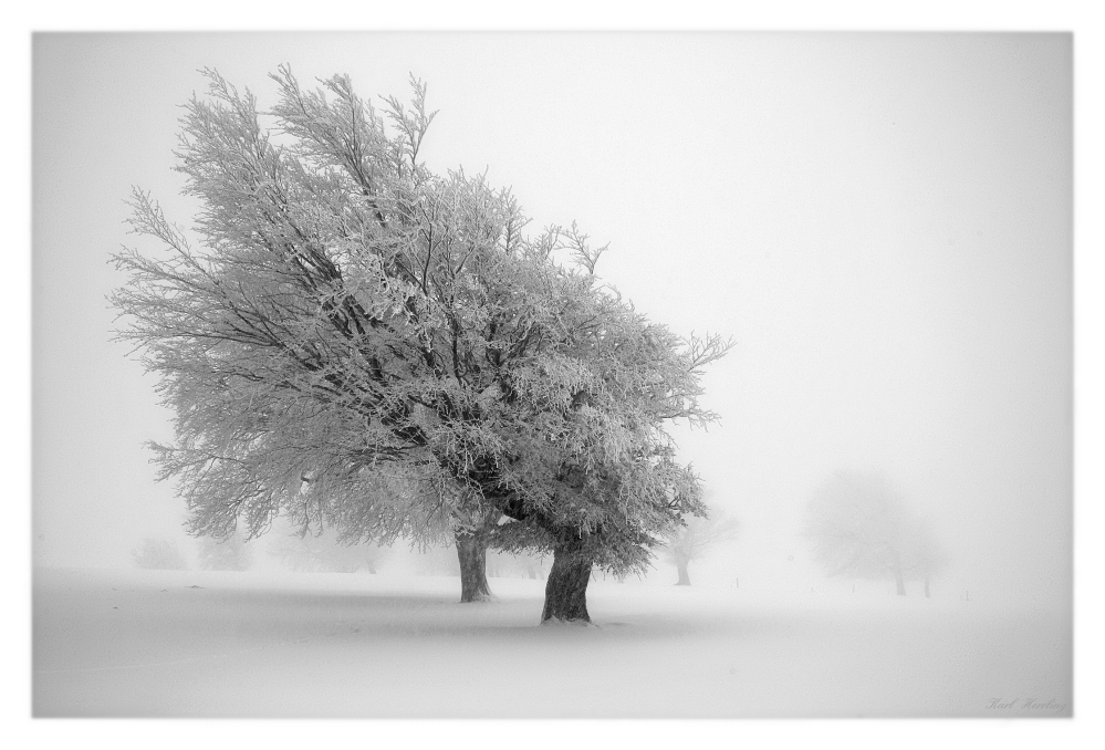 kalter Nebel