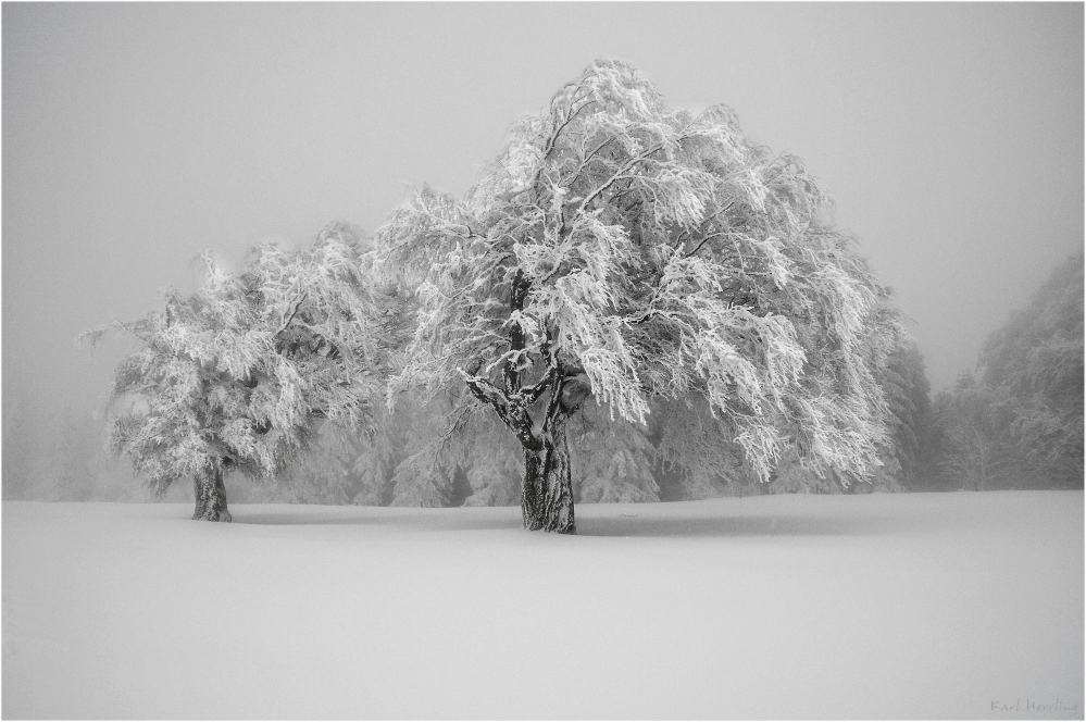 kalter Nebel