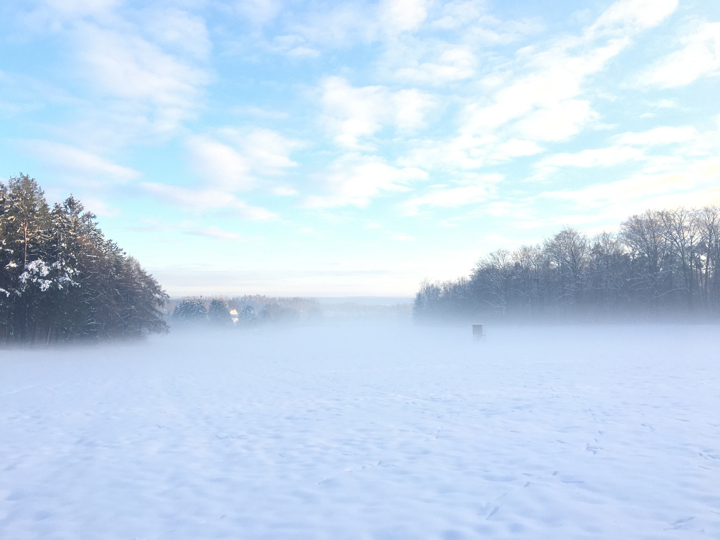 Kalter Nebel im Aachener Wald