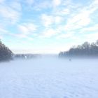 Kalter Nebel im Aachener Wald