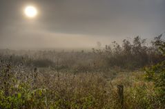 Kalter Nebelmorgen an der Ruhr