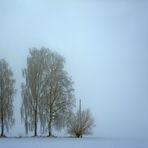 [ kalter ° nebliger ° wintertag ] - HDR mit Mast