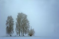 [ kalter ° nebliger ° wintertag ] - HDR mit Mast