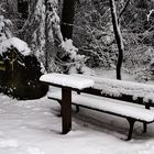 Kalter Ruheplatz am Bild