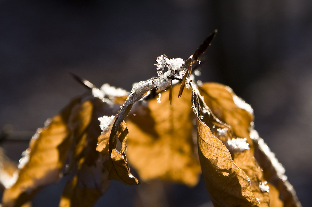 Kalter Schnee...