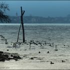 Kalter Tag am Rhein