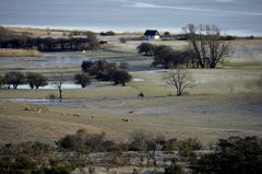 Kalter Tag auf Hiddensee