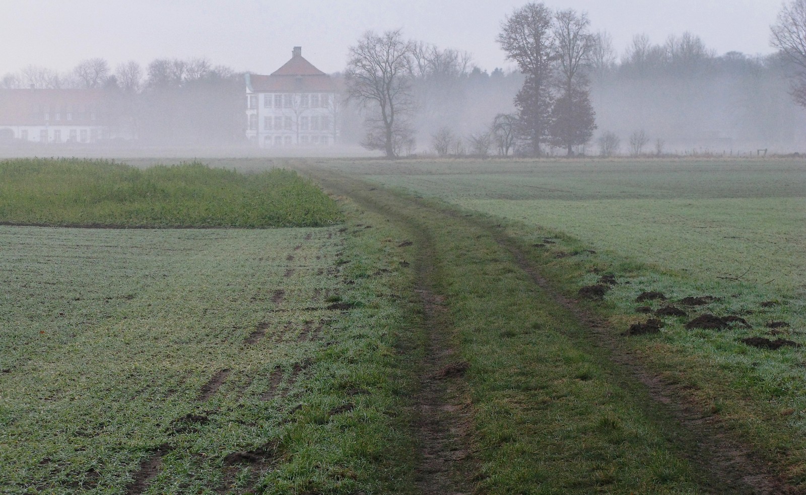 Kalter Weg über die Felder