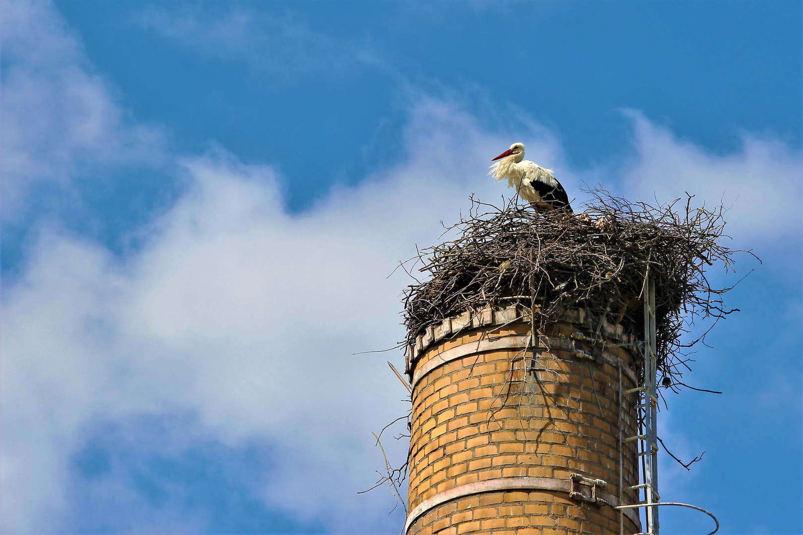 Kalter Wind aus dem Osten