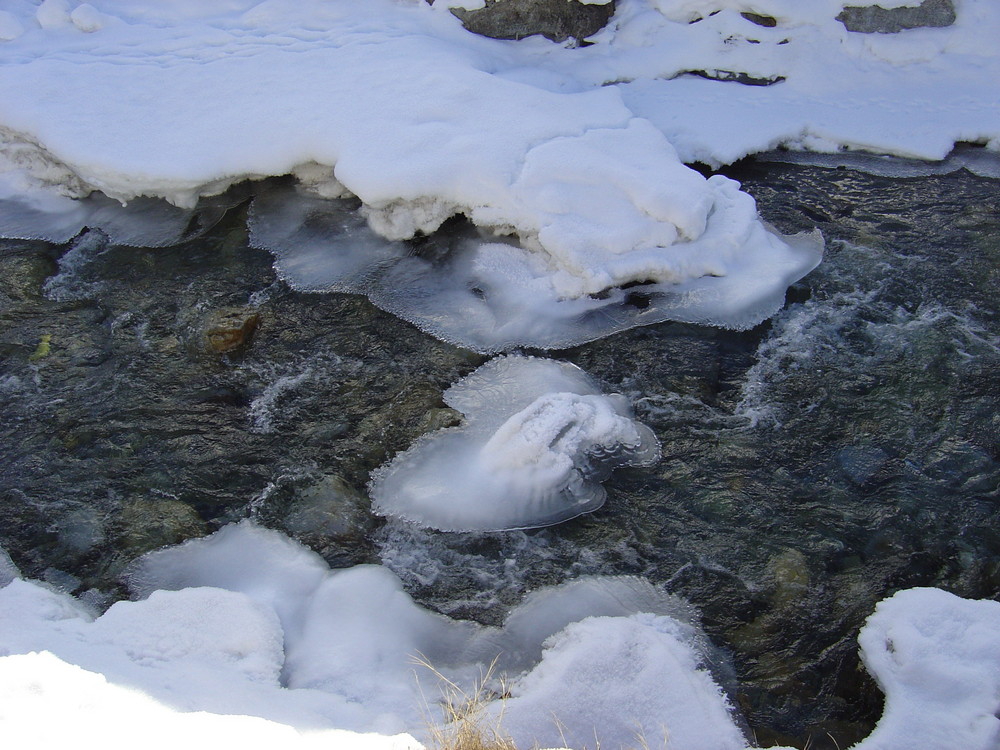 Kalter Winterbach mit seiner Schönheit