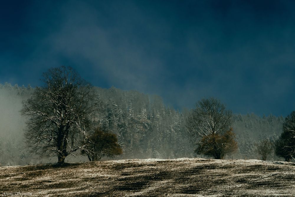 Kalter Wintermorgen!