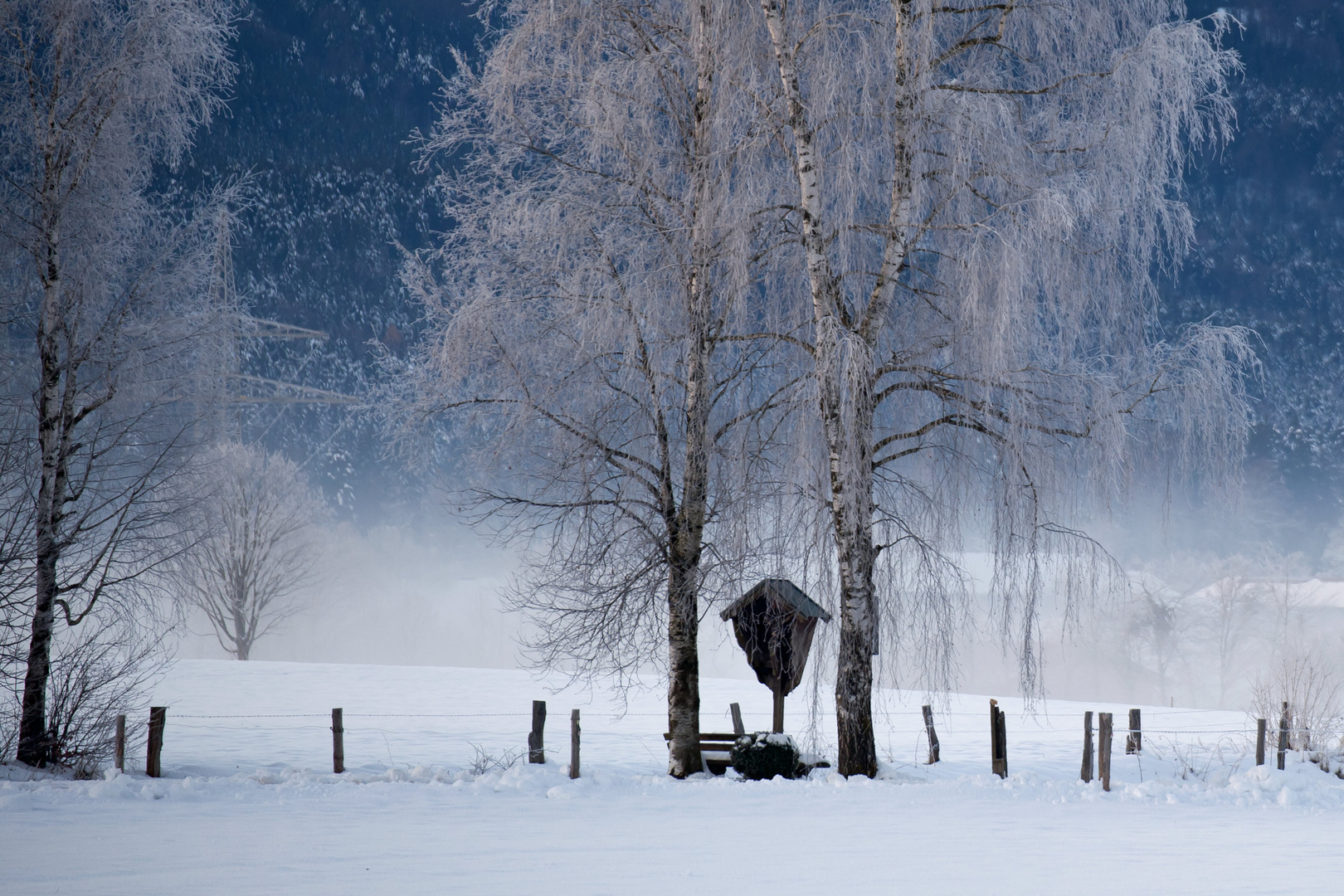 kalter Wintermorgen