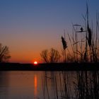 Kalter Wintermorgen am Ladeburger Stausee