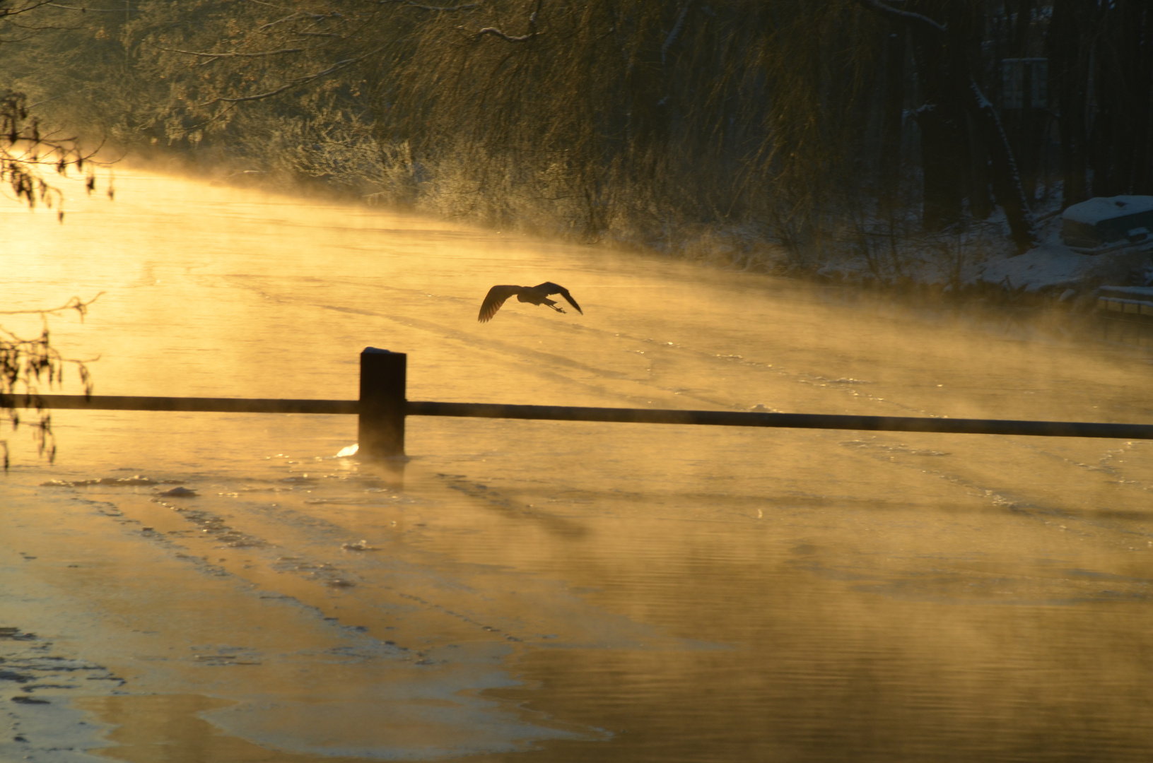 Kalter Wintermorgen am Umflut- Kanal