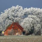 Kalter Wintermorgen auf dem Land