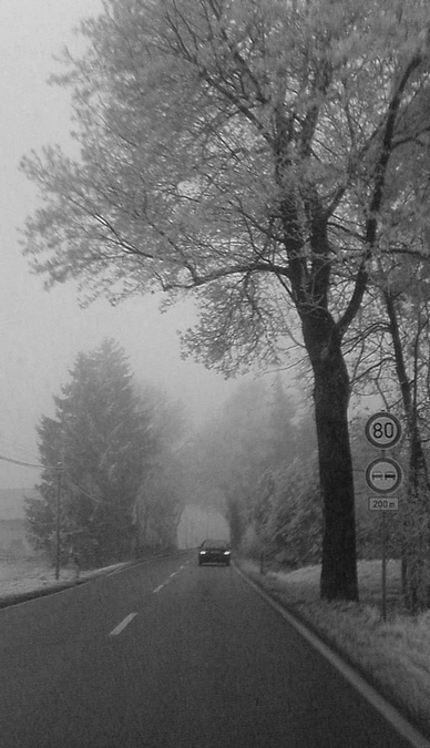 kalter Wintermorgen - auf dem Weg zur Arbeit