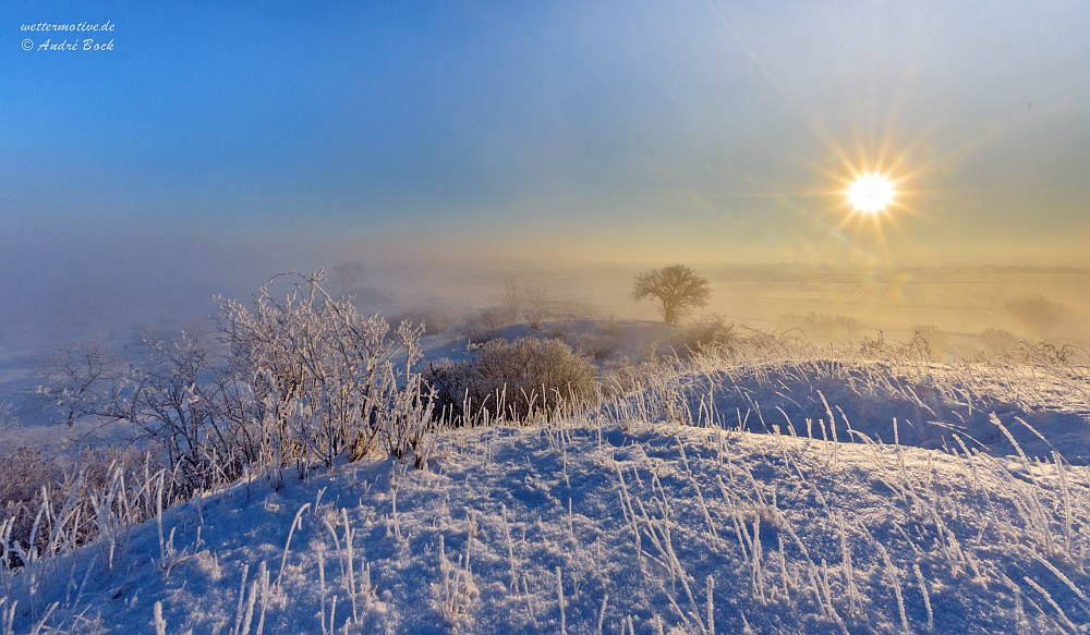 Kalter Wintertag #2