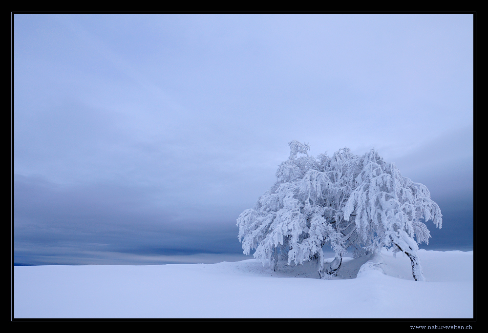 Kalter Wintertag