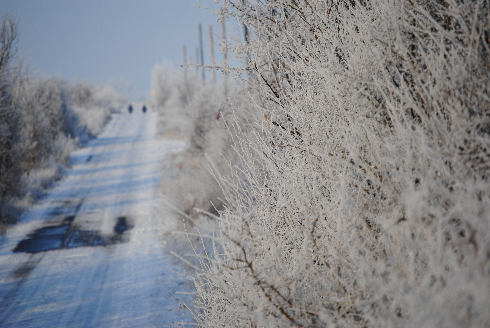 kalter Wintertag