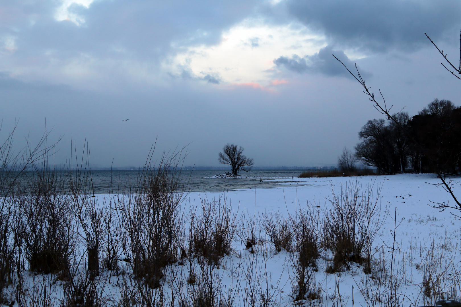 Kalter Wintertag am Rheinholz