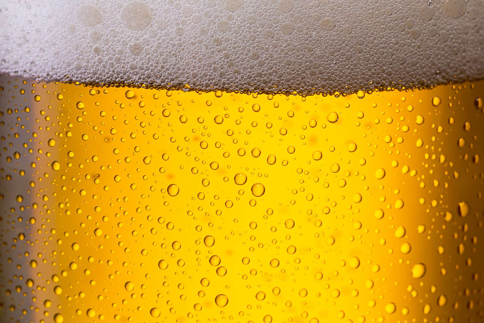 kaltes Bier (Pils) Foto & Bild stillleben, foodfotografie, getränke Bilder auf