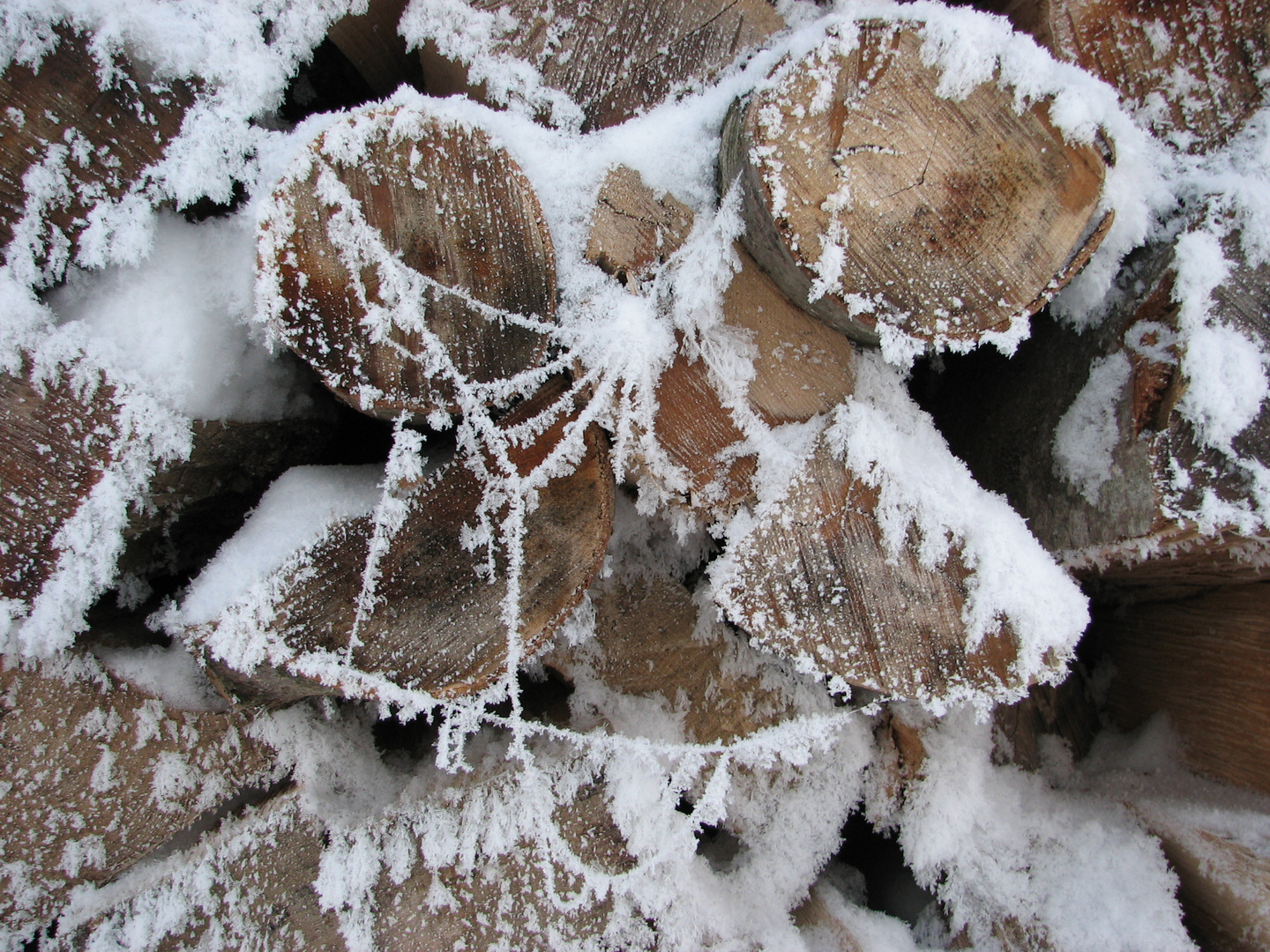 Kaltes Brennholz