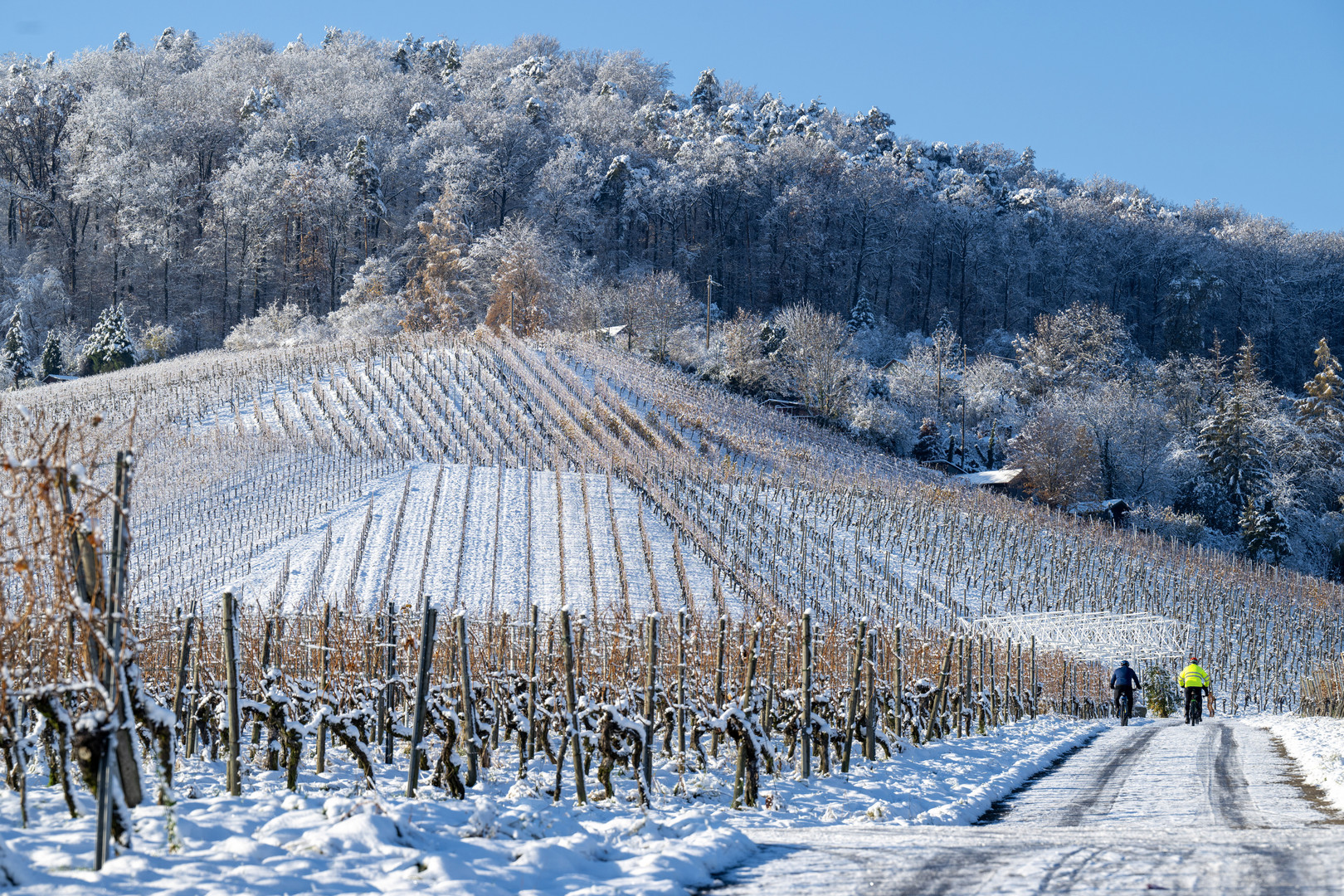 Kaltes Dezember-Wochenende in den Weinbergen