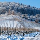 Kaltes Dezember-Wochenende in den Weinbergen