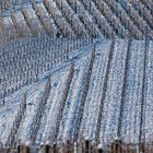 Kaltes Dezember-Wochenende in den Weinbergen