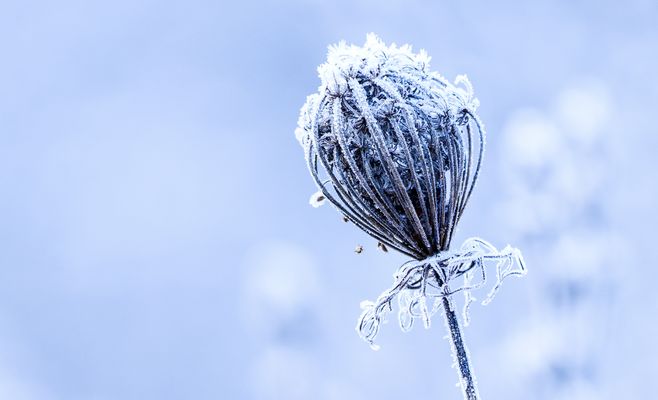 Winter Bilder &amp; Fotos