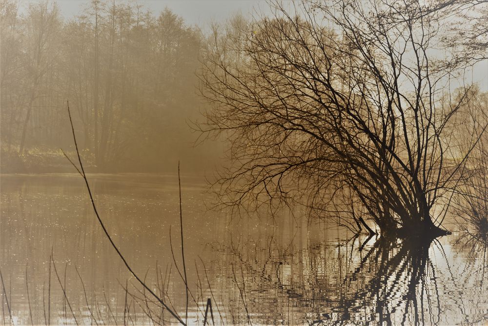 kaltes Gegenlicht