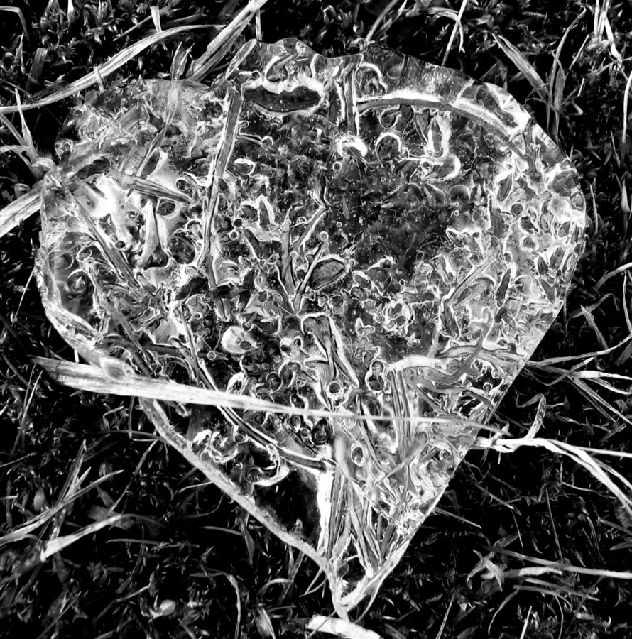 kaltes herz Foto & Bild jahreszeiten, winter, natur Bilder auf