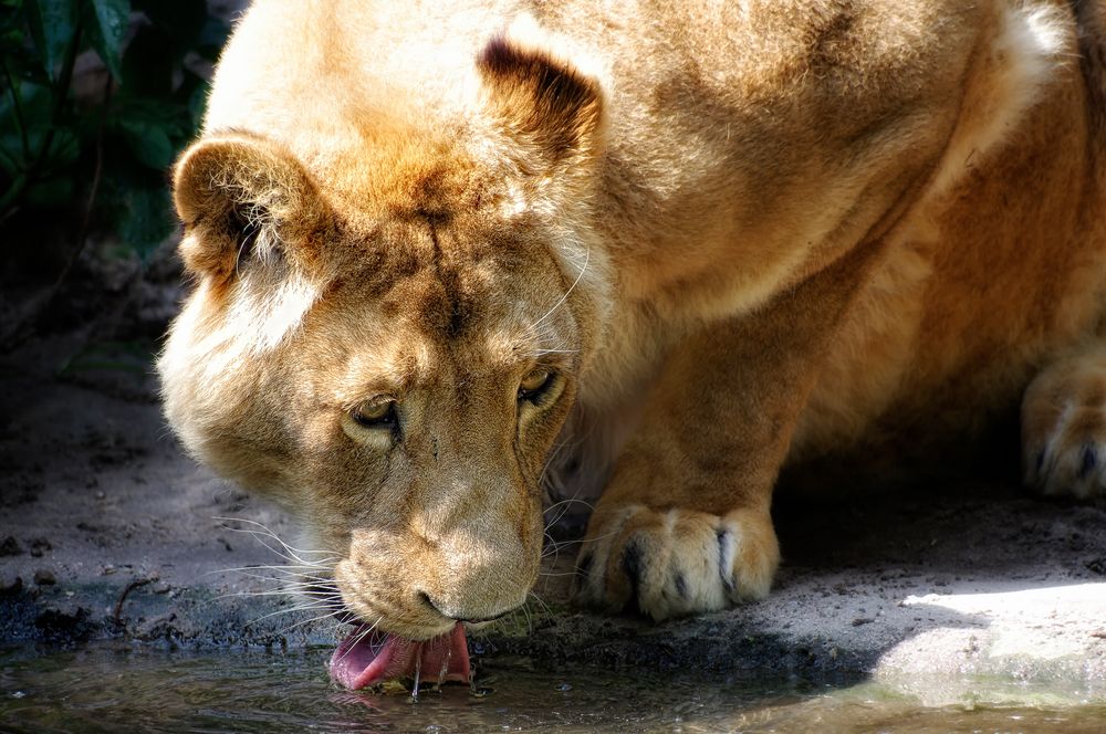 !!! Kaltes , klares Wasser !!! von I. Maass 