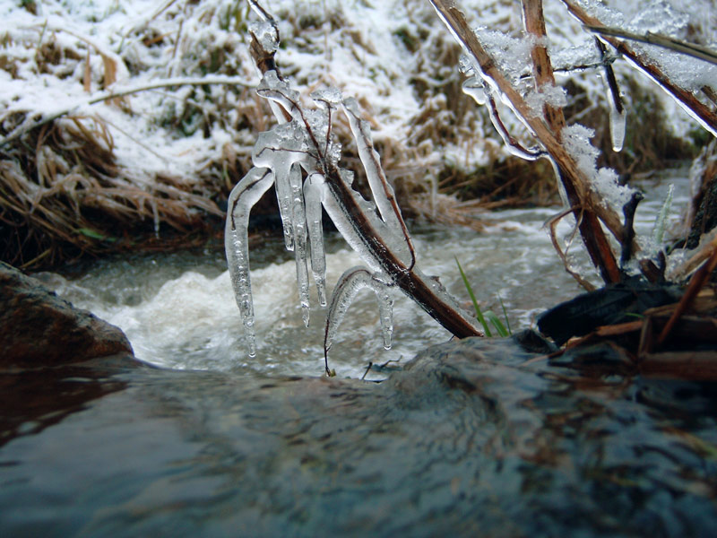 Kaltes Klares Wasser und dessen Erstarrung