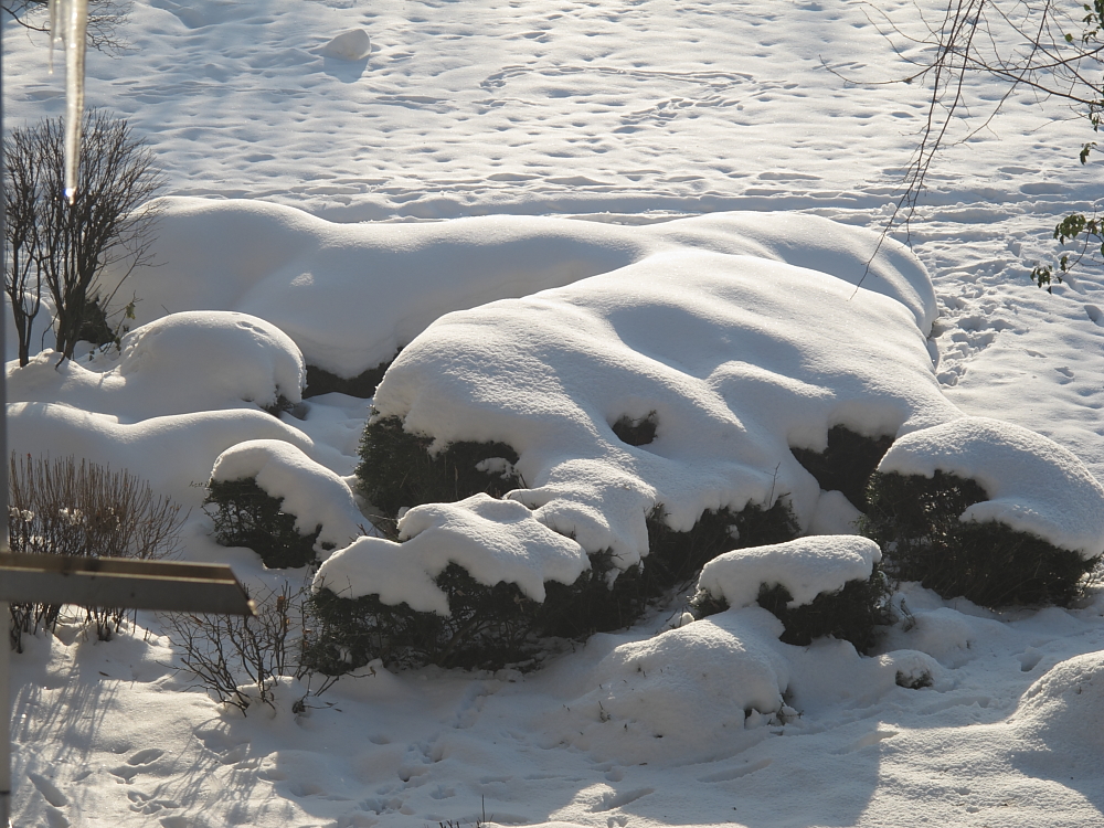 Kaltes Kuschelbett