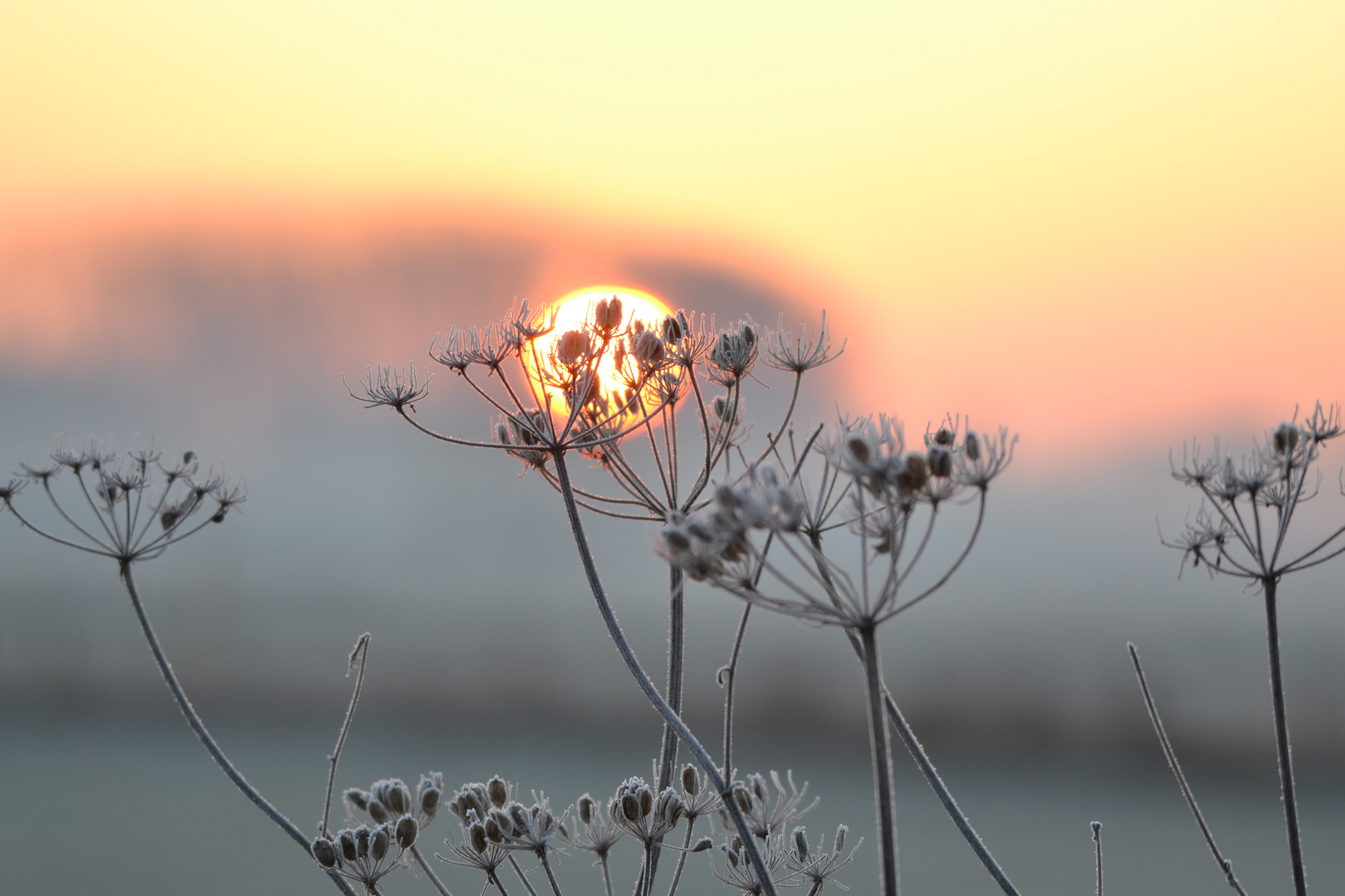 Kaltes Morgenlicht