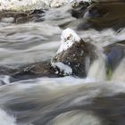Kaltes weiches Wasser