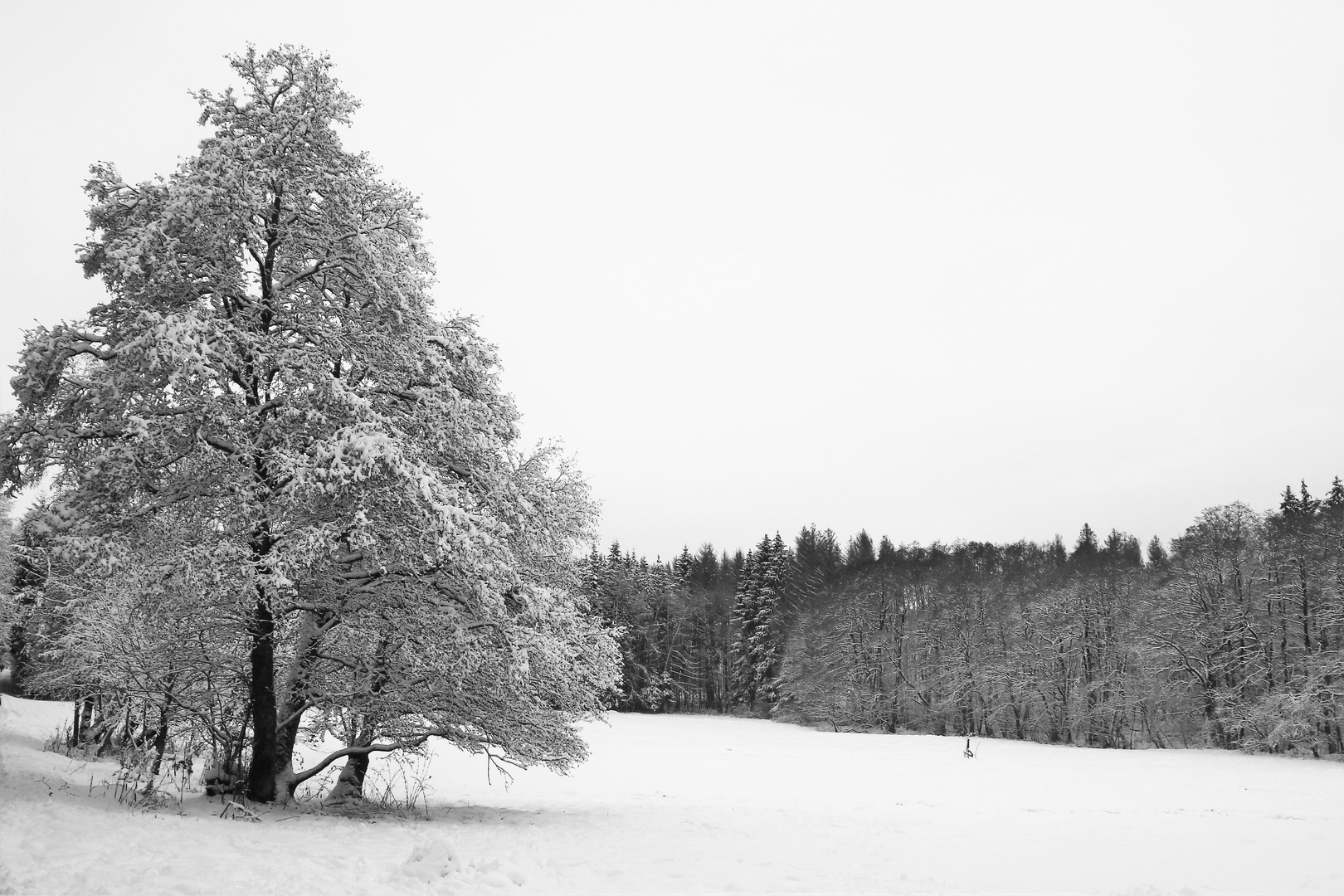 Kaltes Winterlicht