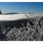 Kaltes Winterlicht über dem "Korallenriff"