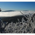 Kaltes Winterlicht über dem "Korallenriff"