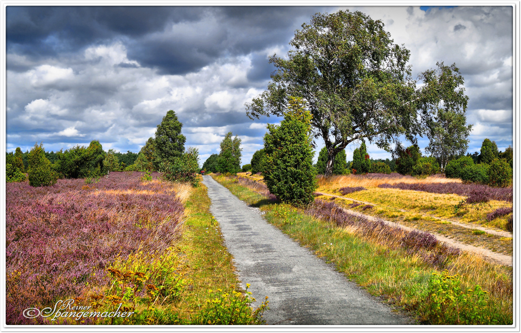 Kaltfront über der Schmarbecker Heide