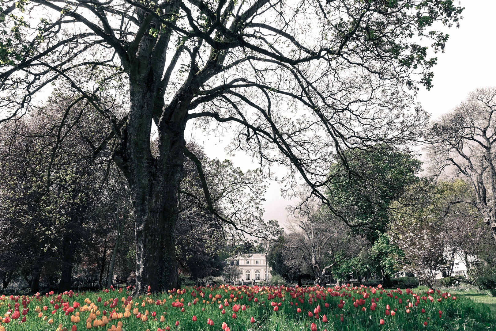 Kaltstart für Frühling?