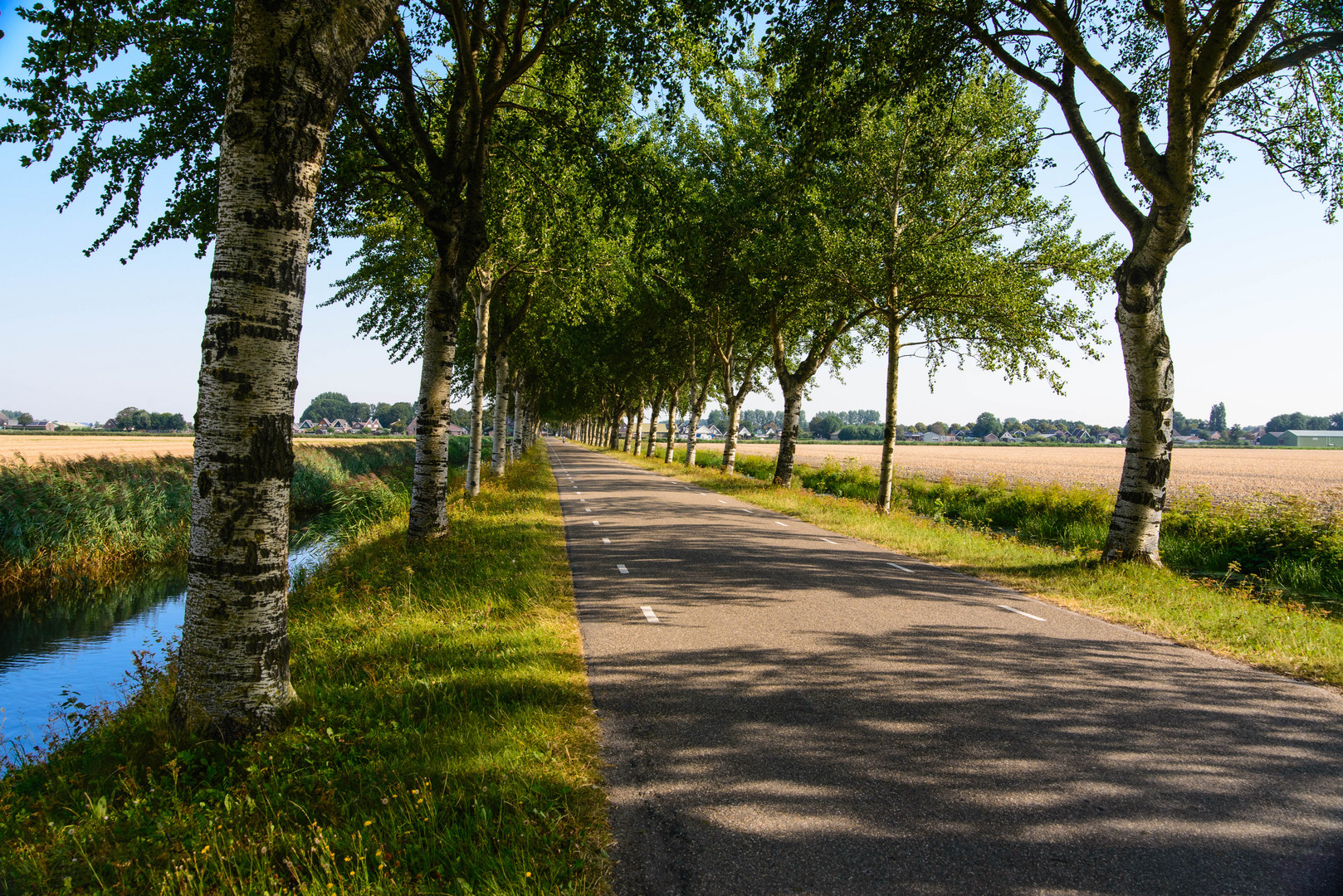 [ Kalverdijk, Allee ]