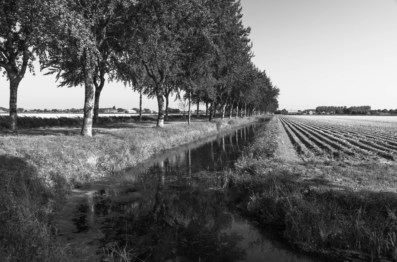 [ Kalverdijk, Polder ]